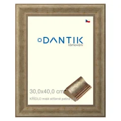 DANTIK obraz, puzzle, fotorámik 30x40 | WING small silver patina (Plexi Clear)