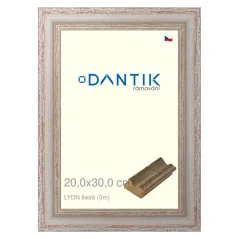 DANTIK obraz, puzzle, fotorámik 20x30 | LYON sivá (sklo číre)