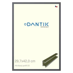 DANTIK rám na obrázky, puzzle, fotografie 29,7x42 | ALU profil 7003 Platinum matt (Plexi Clear)