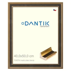 DANTIK rámik na obrázky, puzzle, fotografie 40x50 | TOOTH small gold black (Plexi Clear)