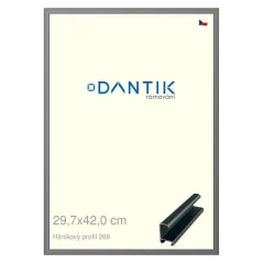 DANTIK rám na obrázky, puzzle, fotografie 29,7x42 | ALU profil 7269 Platinum matt (Plexi Clear)