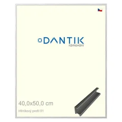 DANTIK rám na obrázky, puzzle, fotografie 40x50 | ALU profil 7001 Strieborný lesklý (sklo číre)