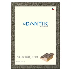 DANTIK obrázok, puzzle, fotorámik 70x100 | Dora Silver (Plexi Clear)
