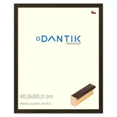 DANTIK obrázok, puzzle, fotorámik 40x50 | Kovové oidati olovo (sklo číre)