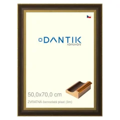 DANTIK obraz, puzzle, fotorámik 50x70 | BACK čierny a zlatý plast (Plexi Clear)