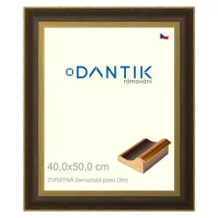 DANTIK rám na fotografie, puzzle, fotografie 40x50 | BACK čierny a zlatý plast (sklo číre)