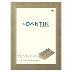 DANTIK obraz, puzzle, fotorámik 29,7x42 | ANDRÉ big champagne (Plexi Clear)