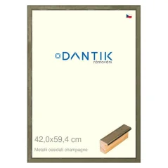 DANTIK obraz, puzzle, fotorámik 42x59,4 | Metalli oidati champagne (Plexi Clear)