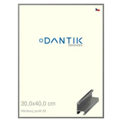 DANTIK rám na obrázky, puzzle, fotografie 30x40 | ALU profil 6030 Oceľ (Plexi Clear)