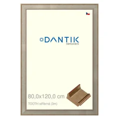 DANTIK obrázok, puzzle, fotorámik 80x120 | TOOTH strieborný (Plexi Clear) DANTIK obrázok, puzzle, fotorámik 80x120 | TOOTH strieborný (Plexi Clear)