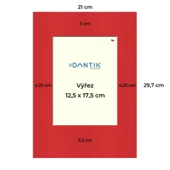 Paspartovací kartón DANTIK - P59 - 4x8431 - 21x29 - 713x18v (A4 na výšku)