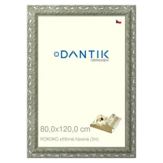 DANTIK obraz, puzzle, fotorámik 80x120 | ROKOKO strieborná loptička (Plexi Clear)