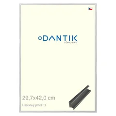 DANTIK rám na obrázky, puzzle, fotografie 29,7x42 | ALU profil 7001 Strieborný lesklý (Plexi Clear)