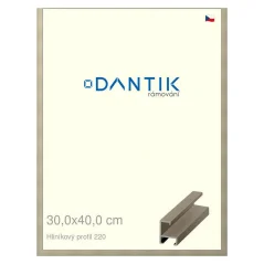 DANTIK rám na obrázky, puzzle, fotografie 30x40 | ALU profil 6220 champagne (Plexi Clear)