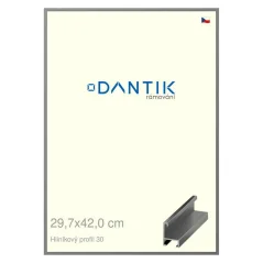 DANTIK rám na obrázky, puzzle, fotografie 29,7x42 | ALU profil 6030 Oceľ (Plexi Clear)