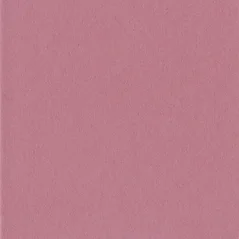 Paspartovací kartón DANTIK - MUS216 (Raspberry)