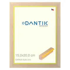 DANTIK rám na fotografie, puzzle, fotografie 15x20 | CARINA žltá (sklo číre)