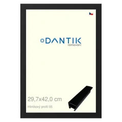 DANTIK rám na obrázky, puzzle, fotografie 29,7x42 | ALU profil 7005 Čierny matný (Plexi Clear)