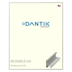 DANTIK rám na obrazy, puzzle, fotografie 40x50 | ALU profil 6030 Dýha farebná sivá svetlá (sklo číre)