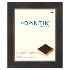 DANTIK obraz, puzzle, fotorámik 40x50 | TOMAS čierny veľký (sklo číre)
