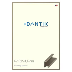 DANTIK rám na obrázky, puzzle, fotografie 42x59,4 | ALU profil 6001 champagne (Plexi Clear)