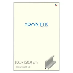 DANTIK rám na obrazy, puzzle, fotografie 80x120 | ALU profil 6035 Dýha sivá (Plexi Clear)