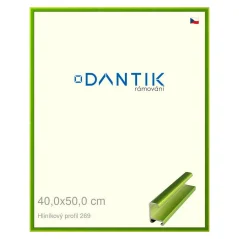 DANTIK rám na obrázky, puzzle, fotografie 40x50 | ALU profil 7269 Green Emerald cut (sklo číre)