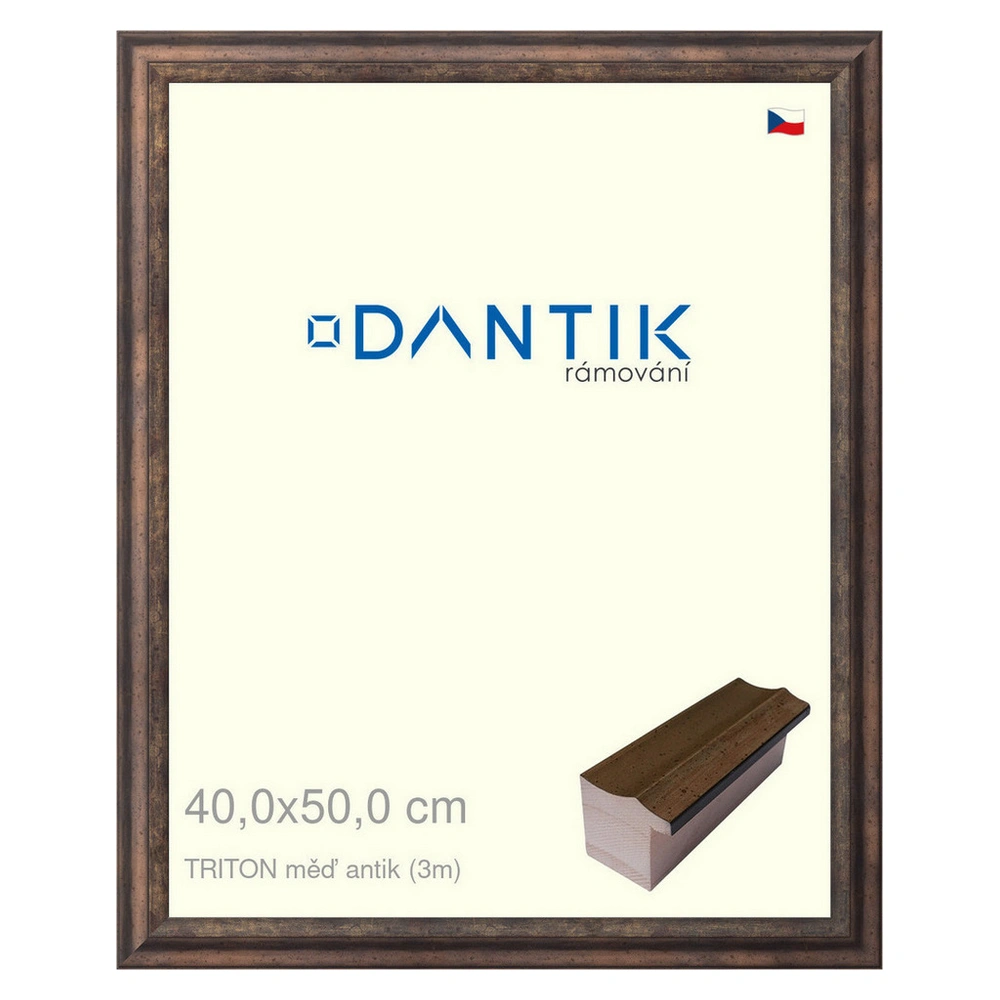 DANTIK rám na obraz 40x50 | TRITON měď antik (Sklo Čiré)