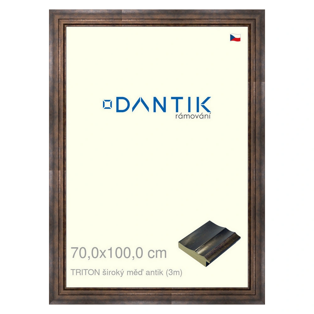 DANTIK rám na obraz 70x100 | TRITON široký měď antik (Plexi Čiré)